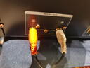 馬蘭士（MARANTZ）CD6007/K1B CD機播放器 CD音響 家庭影院Hi-Fi發(fā)燒音響  全新聲音調(diào)諧 支持CD/USB播放 黑色 曬單實拍圖