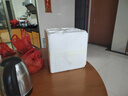 晟容果蔬麒麟西瓜新鮮云南西瓜時令應(yīng)季水果甜瓜新鮮現(xiàn)摘清甜可口現(xiàn)貨速發(fā) 凈重9-10斤(人工手挑老樹果) 曬單實(shí)拍圖