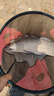 鱘王二代大物竿碳素巨物竿青鱘釣魚竿黑坑12H超硬青魚竿釣魚桿 鱘王二代7.2米 19調(diào) 曬單實(shí)拍圖