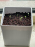 IAM City Farmer薰衣草DIY趣味種植盆栽多年生花卉種植辦公室盆栽芳香植物10089 曬單實(shí)拍圖