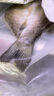 鮮京采三去海鱸魚3斤/3條 生鮮魚類 白蕉鱸魚地標(biāo) 無冰凈重3斤 源頭直發(fā) 曬單實(shí)拍圖