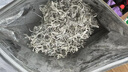 道河藤恩施藤茶 芽尖莓茶 2025新茶湖北富硒地精選來鳳龍須藤茶土家莓茶 龍須藤茶125g*2袋=250g（實惠） 曬單實拍圖