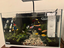 沃韋朗魚缸燈水草燈LED防水全光譜草缸水族夾燈 沃韋朗夾燈G16-B【觀賞魚版】 曬單實(shí)拍圖
