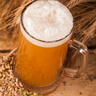 青島啤酒（TsingTao）500*12聽(tīng)組合裝 經(jīng)典4+奧古特4+（1903）4聽(tīng) 曬單實(shí)拍圖