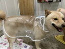智宙狗狗雨衣泰迪專(zhuān)用中小型犬柴犬雨披防水柯基寵物衣服雨天遛狗下雨 XL背長(zhǎng)36cm（建議15-22斤） 曬單實(shí)拍圖