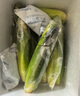 京鮮生云南牛奶水果玉米凈重4斤單果220g+新鮮蔬菜生鮮棒子源頭直發(fā)包郵 曬單實拍圖