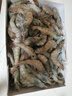 賣(mài)魚(yú)郎先生蝦 青島鹽凍大蝦凈重3.6斤 25-30只/斤 青蝦海蝦生鮮 蝦類(lèi) 曬單實(shí)拍圖