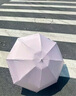太陽傘小巧女遮陽防曬迷你彩膠五折傘晴雨兩用雨傘口袋便攜膠囊傘 海鹽芝士-米藍【8骨圓五折】 手動 曬單實拍圖