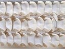 灣仔碼頭大白菜豬肉水餃1800g90只早餐食品速食面點(diǎn)生鮮速凍餃子 曬單實(shí)拍圖
