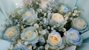 維爾斯鮮花滿天星玫瑰碎冰藍(lán)花束生日鮮花小時(shí)達(dá)全國(guó)同城配送送女友禮物 【鐘情與你】11朵碎冰藍(lán)玫瑰混搭 今日達(dá)|次日達(dá)|其他時(shí)間聯(lián)系客服 曬單實(shí)拍圖
