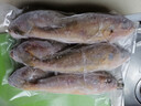 森農樂(lè )小黃魚(yú)生鮮黃花魚(yú)舟山野生鮮活冷凍海魚(yú)正宗深海冰鮮燒烤商用新鮮 5-6條/斤【3斤 新鮮透骨】 曬單實(shí)拍圖