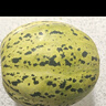 京府香園東北香瓜八里香花蕾甜瓜花姑娘新鮮脆甜應季多汁蜜瓜現摘水果整箱 精選9斤裝 曬單實(shí)拍圖