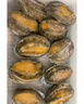 金唐鮮凍大鮑魚凈重500g/ 10頭鮑 帶殼鮑魚肉 貝類海鮮生鮮火鍋燒食材 曬單實拍圖