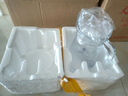 青蘋(píng)果冷水壺玻璃水壺大容量泡茶壺家用耐高溫涼白開(kāi)水杯鴨嘴扎壺涼水壺 豎紋鴨嘴壺1650ML 曬單實(shí)拍圖