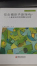 你會(huì)看孩子游戲嗎-兒童游戲中的觀察與支持邱學(xué)青教育江蘇鳳凰教育出版社新華書店正版 曬單實(shí)拍圖