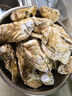 生蠔山東大生蠔鮮活牡蠣肉質(zhì)肥美凈重5斤原產(chǎn)地直發(fā)到家 5斤XL【約28-33個(gè)】清蒸版 曬單實(shí)拍圖