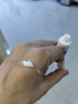 歐舒丹護手霜禮盒(櫻花/馬鞭草+乳木果+玫瑰/甜扁桃）各30ml滋潤保濕 曬單實拍圖