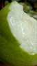 千園九味山東綠寶石梨時令水果新鮮青皮梨子脆甜多汁酥脆少渣皇冠翠蜜 優(yōu)選凈重8.5斤大果 曬單實拍圖