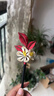 山頭林村纏花材料包 非遺纏花發(fā)簪手工diy絨絲線(xiàn)材料包紙模免裁剪新手一整套古風(fēng)頭飾 升級【49件套】26色絲絨+14款頭飾+工具 非遺纏花diy頭飾 曬單實(shí)拍圖