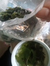 大連裙帶菜 鮮海帶非干貨海帶嫩苗兒童海菜海白菜海藻菜涼拌 裙帶菜嫩葉500g 曬單實(shí)拍圖