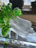 菲斯鉑亞琉璃工藝品水晶大白菜百財擺件招財朋友開店開業(yè)禮物高檔定制創(chuàng)意 大號白菜-深綠色+水晶底座 曬單實拍圖