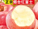 正宗煙臺(tái)蘋果棲霞紅富士脆甜新鮮水果整箱生鮮蘋果水果 凈重4.5斤75mm 曬單實(shí)拍圖