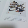 【當(dāng)當(dāng) 正版包郵】汪曾祺散文集全套4冊 水墨裸脊珍藏版 人間草木+人間滋味+人間有戲+人間自在 曬單實(shí)拍圖