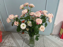 FGHGF花瓶玻璃ins風(fēng)網(wǎng)紅高級感水培養(yǎng)花瓶現(xiàn)代簡約插鮮花擺件花盆 水波紋花瓶1個 曬單實拍圖