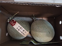 京鮮生 玫瓏網(wǎng)紋瓜 凈重4-5斤 2粒 源頭直發(fā)包郵 曬單實(shí)拍圖
