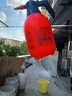 【全網(wǎng)爆款】噴壺家用水壺園藝澆水壺氣壓式噴霧器消毒噴水壺 氣壓噴壺2L裝（1個） 曬單實拍圖