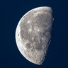 索尼（SONY）全畫幅遠(yuǎn)攝變焦 G大師鏡頭FE200-600mm遠(yuǎn)攝變焦G鏡頭 運動 野外 打鳥 SEL200600G 曬單實拍圖