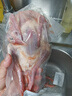 百味殿乳鴿新鮮宰殺正宗三年老鴿子保留心肝冷凍農(nóng)家散養(yǎng)滋補(bǔ)土鴿子湯 老鴿子凈重400g*兩只（送料包） 曬單實拍圖