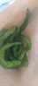 精科優(yōu)鮮有機(jī)綠甘藍(lán)圓白菜新鮮蔬菜配送認(rèn)證大頭菜卷心菜蔬菜可生食用沙拉 3斤 曬單實(shí)拍圖