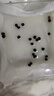 貝意品正宗秋葵種子水果黃秋葵高產(chǎn)紅秋葵農(nóng)家小院陽(yáng)臺(tái)四季盆栽蔬菜種子 曬單實(shí)拍圖