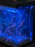 畫法幾何魚缸造景 小型魚缸米家智能魚缸專用蕨類沉木造景套餐 曬單實(shí)拍圖