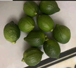 果園直發(fā)】正宗無(wú)籽廣東香水檸檬一級(jí)果【夏果】鴨屎香奶茶店專(zhuān)用 優(yōu)選一級(jí)果5斤【65克起】 曬單實(shí)拍圖