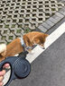 多尼斯（DOGNESS）狗繩狗牽引繩遛狗狗鏈中大型犬自動(dòng)伸縮防爆沖牽狗器柴犬金毛5米 曬單實(shí)拍圖