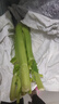 【產(chǎn)地順豐】壽光大西芹新鮮蔬菜去葉西洋芹脆嫩芹菜榨汁水果西芹 產(chǎn)地順豐+現(xiàn)摘現(xiàn)發(fā)+出汁保障 去葉發(fā)貨【5斤】安療首選 曬單實拍圖