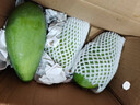 海南金煌芒2025芒果廣西新鮮水果福建當季現摘青甜心芒大果整箱 凈重4.8斤中果【單果200g+】 曬單實拍圖
