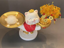 赟婭水晶發(fā)財樹(shù)招財貓擺件客廳玄關(guān)酒柜辦公室新中式裝飾喬遷搬家禮物 【托盤(pán)款】發(fā)財樹(shù)招財貓-紅色 曬單實(shí)拍圖
