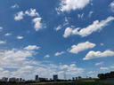 DTC鉸鏈東泰165大角度合頁轉(zhuǎn)角柜折頁平開門180門鉸90度45度135度270 DTC165度C80直臂(全蓋)阻尼(1只 曬單實拍圖