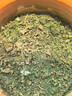 新鮮藿香種子食用藿香盆栽原土霍香苗五香葉魚(yú)香種子陽(yáng)臺(tái)庭院蔬菜 藿香種子 1包約1000粒 曬單實(shí)拍圖