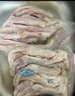 六和鴨掌 2斤 櫻桃谷鴨冷凍帶骨鴨掌麻辣鴨掌醬鹵食材 曬單實(shí)拍圖