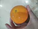 湖北秭歸夏橙當(dāng)季新鮮水果現(xiàn)摘現(xiàn)發(fā) 單果60mm+ 帶箱3斤裝 曬單實(shí)拍圖