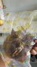 傾海之宴 精選墨魚(yú)干 S3 200g 淡曬目魚(yú)干烏賊干 海鮮特產(chǎn)海產(chǎn)品干貨 曬單實(shí)拍圖