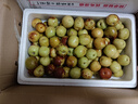 城南堡花沾化冬棗 廟上冬棗  新鮮水果時(shí)令冬棗脆甜青紅脆棗 甄選中果 凈果5斤 曬單實(shí)拍圖