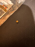 賽菲爾黃金轉(zhuǎn)運(yùn)珠足金999.9光面圓珠手串散裸珠 直徑約3mm 約0.08克  曬單實(shí)拍圖