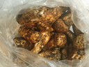 森吉尼達(dá)【現(xiàn)貨】香格里拉新鮮松茸現(xiàn)采現(xiàn)發(fā)野出口級(jí)未開傘生云南松茸菌菇 松茸 5-5.8cm 500g松茸嘗鮮裝 曬單實(shí)拍圖