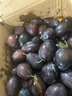 庾豐當季新鮮現(xiàn)摘西梅 新鮮水果整箱 孕婦藍蜜法蘭西梅 團購送禮 5斤裝（凈果4.5斤）甄選果王 顆顆甄選 產(chǎn)地直發(fā) 曬單實拍圖