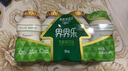 界界樂乳酸菌飲料牛奶乳品免疫球蛋白原味100ml*40瓶整箱活力裝(無吸管) 曬單實(shí)拍圖
